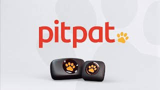 PitPat Dog GPS Tracker - Who are PitPat?