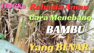 TRICKS AND TIPS... II Rahasia Dibalik Penebang Bambu Yang Aman.