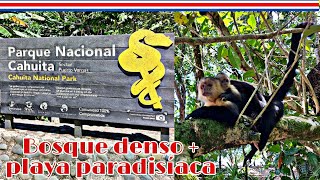 Parque Nacional Cahuita 🐒🦝 | Costa Rica🗺🇨🇷