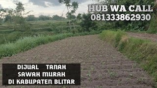 Dijual Tanah Sawah Di Desa Sidodadi Kec Garum Kab Blitar