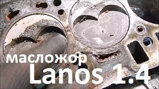 Большой расход масла ЗАЗ Lanos 1.4. Капремонт двигателя МеМЗ-317. Ч1 Дефектовка.