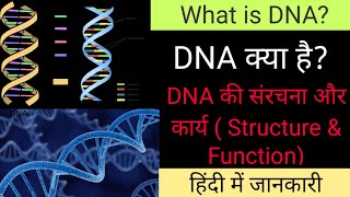 What is DNA ?( DNA क्या है?)||DNA Structure & Function|| हिंदी में जानकारी||