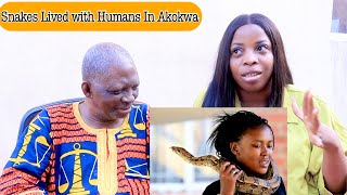 IGBO VLOG: Here's Why Akokwa People LIVE With Snakes and Don't Kill Them  | IMO STATE, NIGERIA