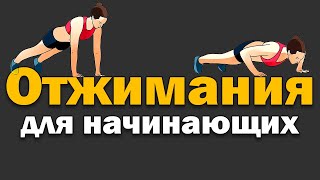 Отжимания для начинающих. Разные варианты и техника.