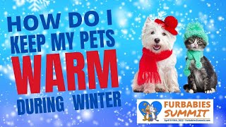 How Do I Keep My Cat or Dog Safe In Cold Weather?