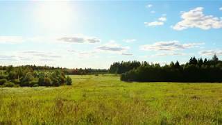 Field nature sounds ambience atmosphere relax countryside scenery meditation