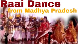 Badhai or Raai Folk dance from Sagar, Madhya Pradesh