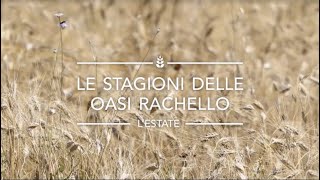 Le stagioni delle Oasi Rachello – 3 – L’estate