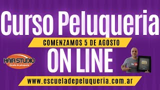 Curso on line 5 de agosto 2024 Inscripciones Abiertas!!! #cursosdepeluqueria #peluqueria a