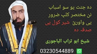 دہ جنت اسباب  قیمتی بیان  مخکی شیر کئ