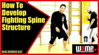 How To Develop Fighting Spine Structure Power & Strength SILAT