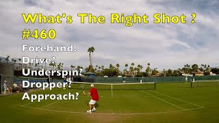 Tennis Forehand Technique.  Topspin?  Underspin?  Dropshot?  Approach?  WTRS?  # 460