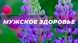 Мужское здоровье. Скрытые аффирмации для мужчин. Саблиминал.