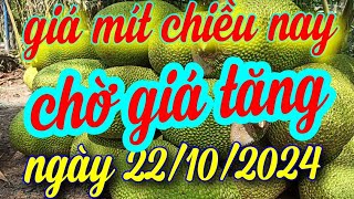 giá mít cuối ngày 22/10/2024