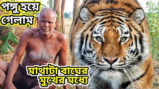 বাঘের আক্রমণে পঙ্গু হয়ে গেল || tiger attack human head || Sundarban tiger attack || 🐅🐅