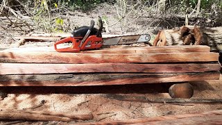 Cortando tronco de madeira com o motosserra