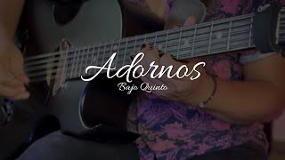 Adornos en el Bajo Quinto | Para ir a 3ra (IV°)