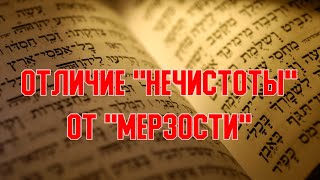 Различение нечистоты от мерзости. Вопросы и ответы