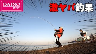 ダイソー竿とリールでブリを釣る伝説の動画