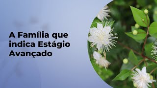 QUAL A FAMÍLIA QUE INDICA UM ESTÁGIO AVANÇADO DE CONSERVAÇÃO?