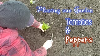 PLANTING OUR PEPPERS AND TOMATOS!!!