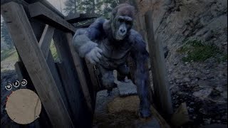 gorilla taxidermy location - RDR2