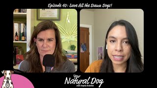 Your Natural Dog Podcast Ep 10: Save All the Damn Dogs with Rachel Fusaro