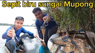 Sepit biru air MupongBintangor//menjala udang galah dapat besar-besar.