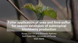 Blackberry Budbreak Induction by Defoliants | 2020 ASHS Presentation