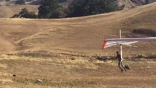 Jessica & Liam Landing