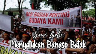 Rencana Pemusnahan Babi dan Aksi Save Babi Menjadi Perhatian Bangso Batak