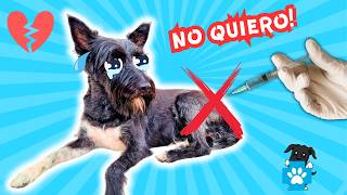 9 COSAS que ODIO de IR AL VETERINARIO! 🤬Lana