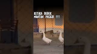 KOCAK!!!BEBEK MANTAN PASKIB!