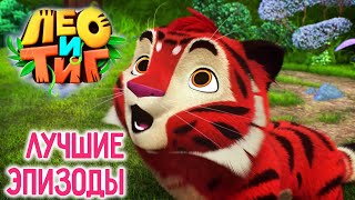 Лео и Тиг 🦁🐯 Лучшие эпизоды —ТОП 10 ✨️ Коллекция эпизодов ⭐ Мультсериал для детей 🌟 Мультики