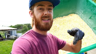 Cornmeal for Weed Prevention | Everything Sustainable