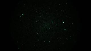 NGC 6946 Galaxy with Super Nova via Photonis INTENS Night Vision in Real Time