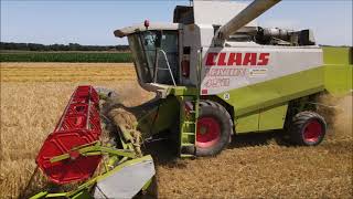 Getreide Ernte mit den Claas Lexion 450.