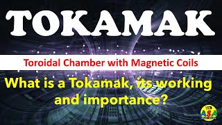 What is a Tokamak?