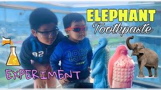 ELEPHANT TOOTHPASTE EXPERIMENT | FUN SCIENCE