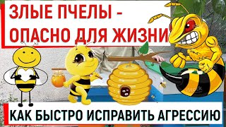 Злые пчелы. Можно быстро избавиться от агрессии.