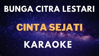 Karaoke Bunga Citra Lestari - Cinta Sejati