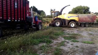 New Holland SPFH 8row kemper, 600hp in 30 ton corn