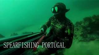 LOCAL  SPEARFISHING