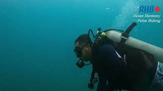 Ocean Harmony by RHB Islamic Bank. Day 1 at Bidong Island #scubadiving #rhb