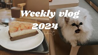 Weekly diary 🐱🌈JULY | Never say goodbye, we will meet again | most tough days in 2024 🪷🕯️