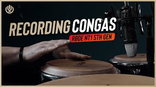 Unleashing the Groove: Recording Congas with Rode NT1 5th Generation