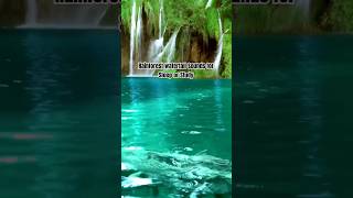 Natural Vibes | Rainforest Waterfall Sounds for Sleep or Study #waterfall  #shorts #vibes