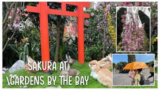 Sakura at Gardens by the Bay