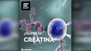 Para qué sirve la creatina // PrimeTech Nutrition