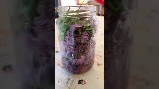 Purple vinegar #recipe #asmr #food #shorts